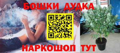 apvp Балашиха