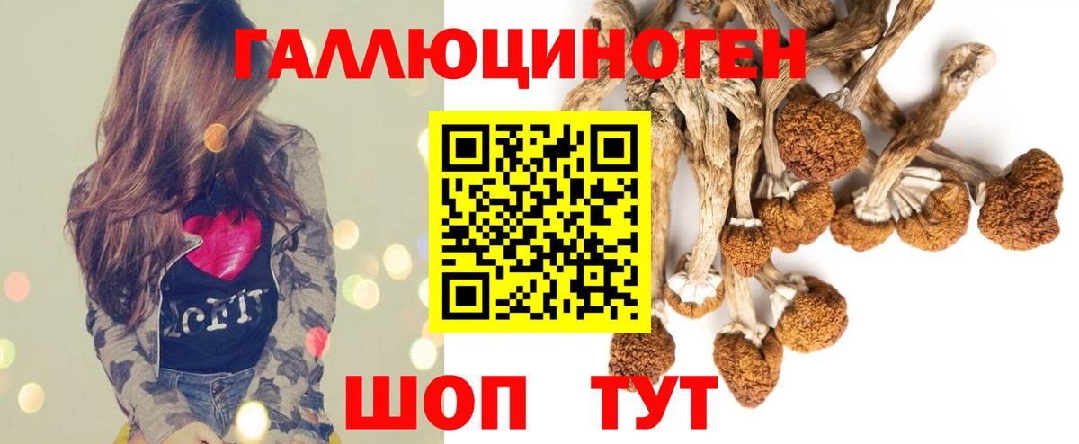 Краснотурьинск  Псилоцибиновые грибы ЛСД  Вход с VPN 